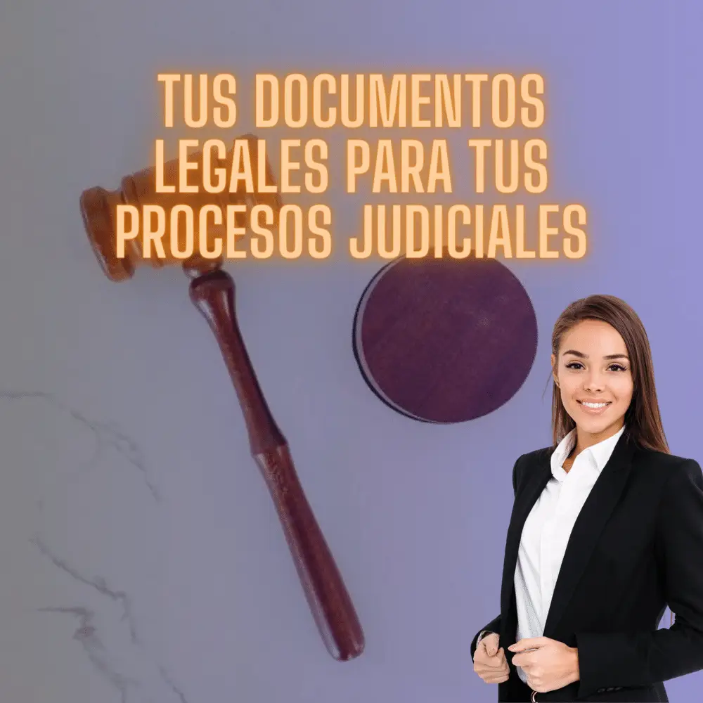 proceso judicial